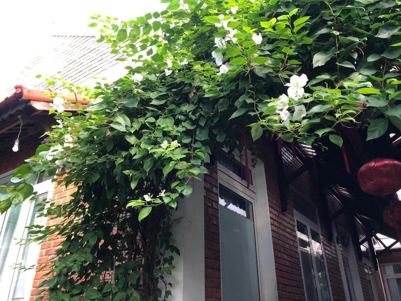 Q'Tropical Garden Homestay Hue Exterior photo